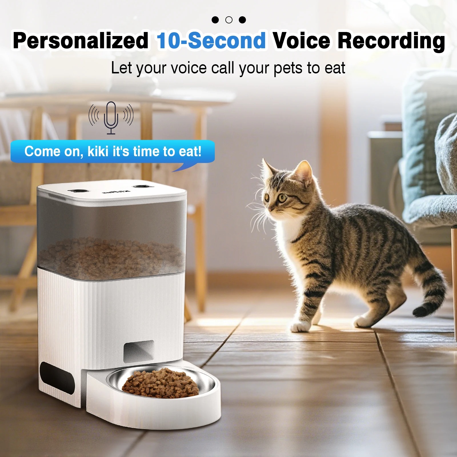 Automatic Cat Feeder