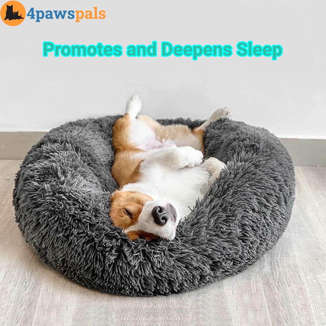 Calming Bed for Dogs