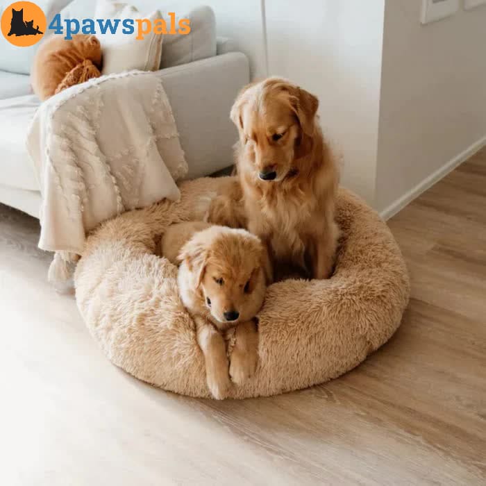 Calming Bed for Dogs