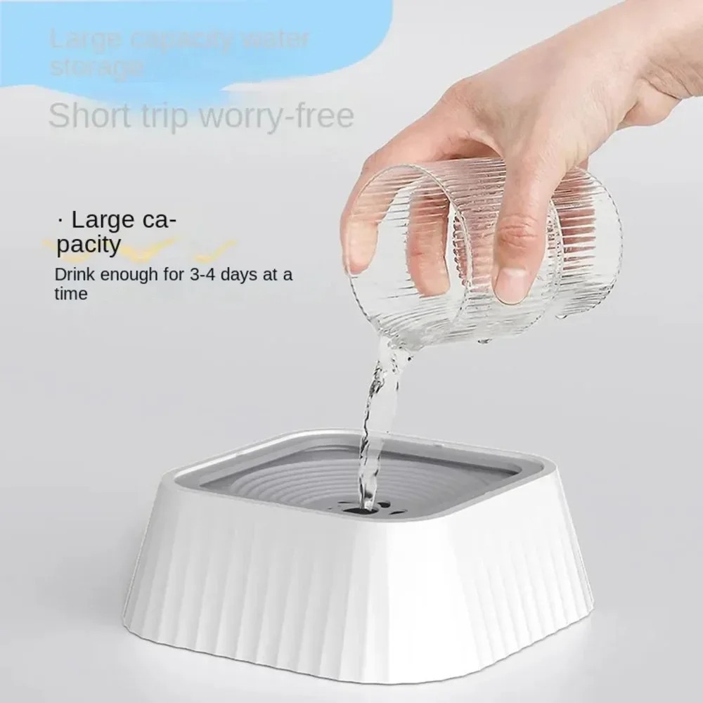 Zero Splash Dog Bowl