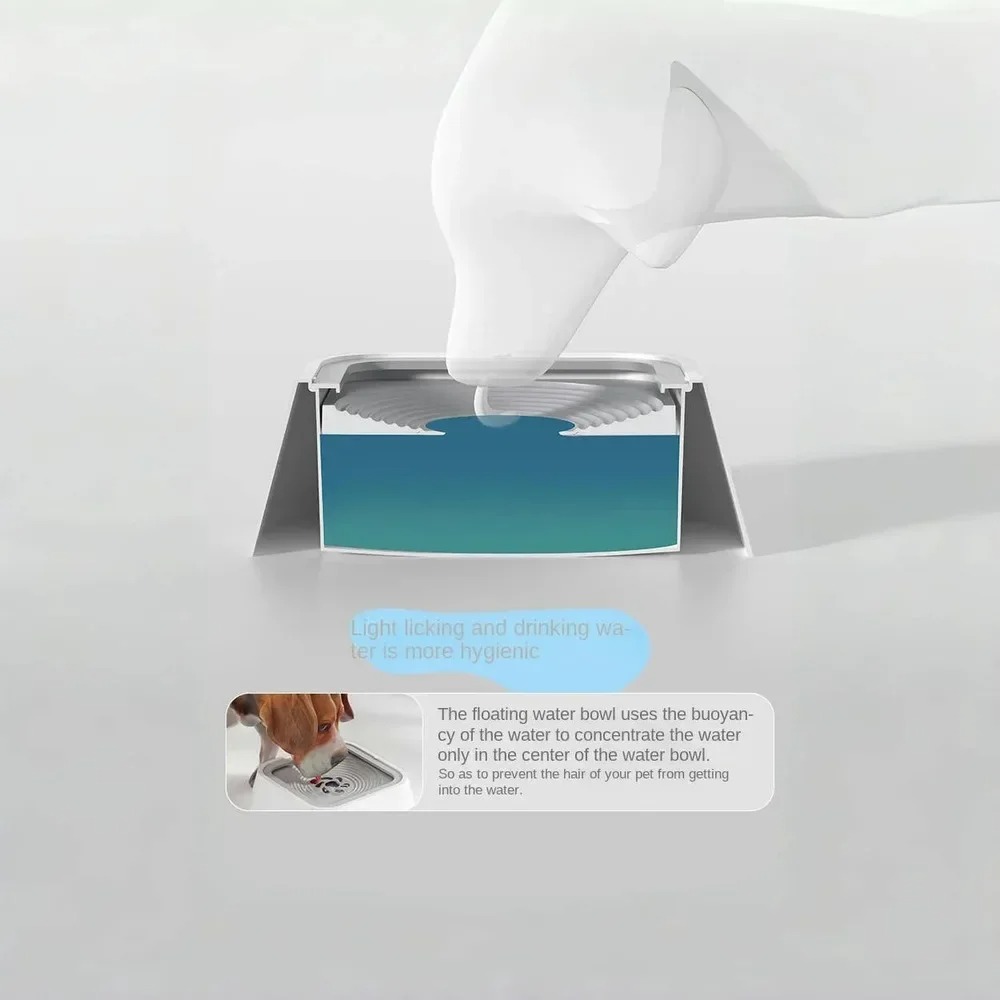 Zero Splash Dog Bowl